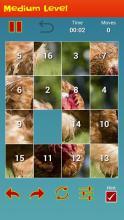 Bird'sPicturePuzzleGame-IQTestForBrain