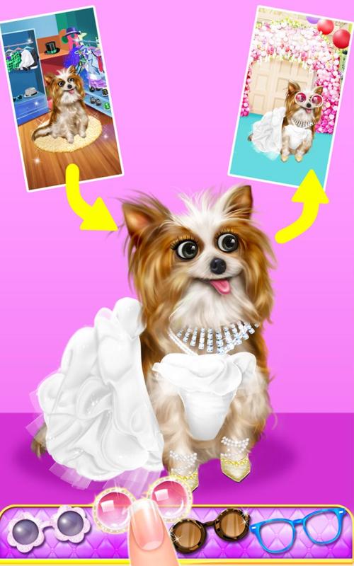 PetWeddingPartyBeautySalon