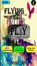 FlyingPotter:QuidditchChallenge