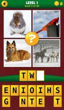 4Pics1Odd:MoreWords