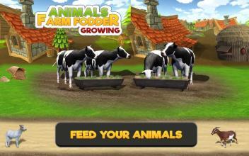 AnimalFarmFodderGrowing