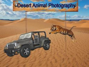 DesertAnimalPhotography