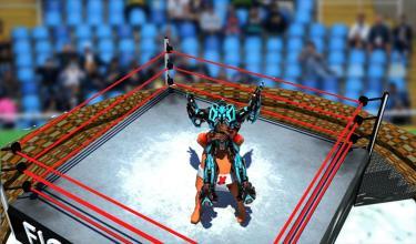 RealrobotRingSumoWrestlingRevolutionBattle