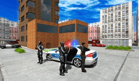 PoliceCarDriverCity