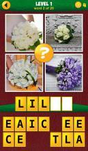 4Pics1Odd:MoreWords