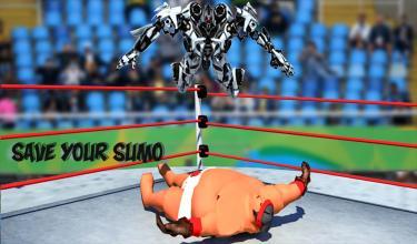 RealrobotRingSumoWrestlingRevolutionBattle