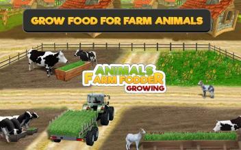 AnimalFarmFodderGrowing