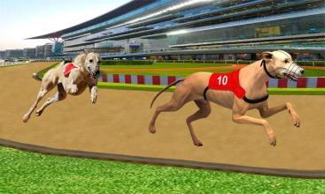 UltimateDogRacing