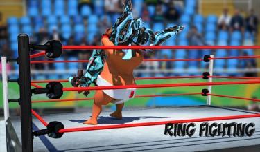 RealrobotRingSumoWrestlingRevolutionBattle