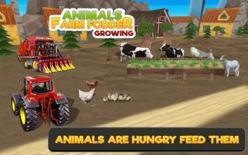 AnimalFarmFodderGrowing