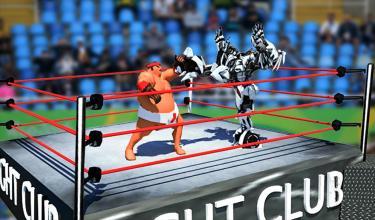 RealrobotRingSumoWrestlingRevolutionBattle