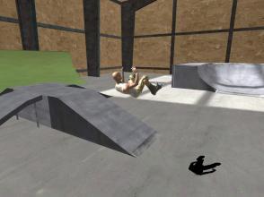 AggressiveInlineSkating