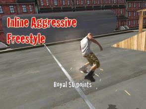 AggressiveInlineSkating