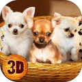 ChihuahuaDogSimulator3D