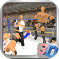 WWEWrestling3D