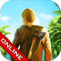 SurvivalIslandOnlineMMO