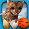 CatSimulatorKitty3D-FREEGAME