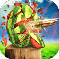 WatermelonShooter3D