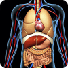 HumanAnatomyQuiz-ProTriviaLearnTheHumanBody