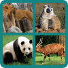 Animalquizkidstriviapicsgames