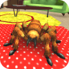 SpiderLife:TarantulaHousePet