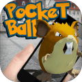 PocketBallGO