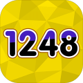 1248-NumberChallenge