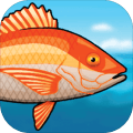 Fishalot-freefishinggame