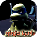 NinjaTurtlefightingShredder