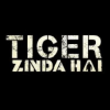 TigerZindaHai