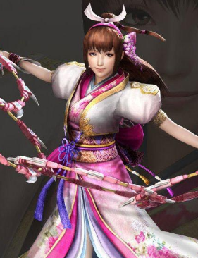 ս˫2Sengoku Musou 2/Samurai Warriors 2ٶѸ