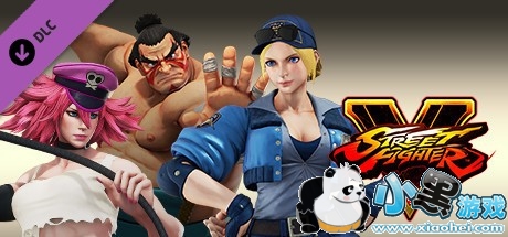 ͷ5 Street Fighter VİٶѸv4.0809DLC