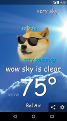 WeatherDoge