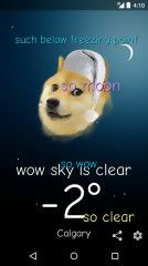 WeatherDoge