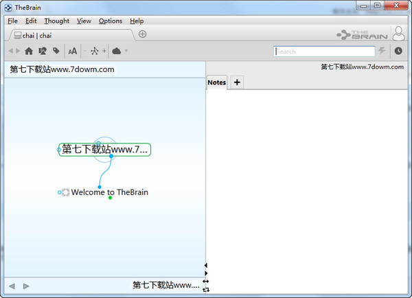 TheBrain 9 Pro 9.0.250.0 ر