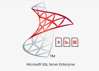 SQL Server 2000 Standard 8.00.2039 İ