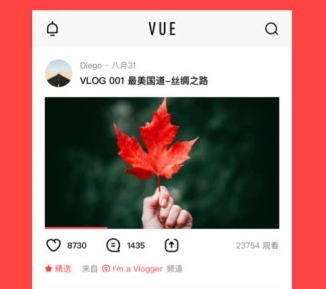 VUE Vlogv3.0.7