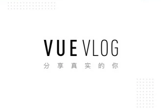 VUE Vlogv3.0.7