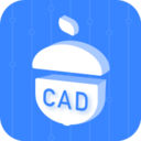 CAD