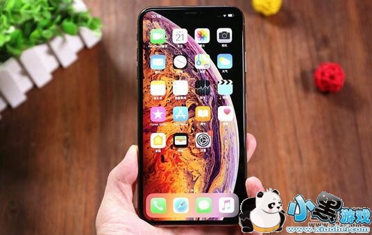 ΪP30Proiphone XS MaxԱʵСϷ