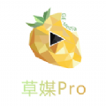 ݮPro appٷ v1.1.4