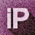 IPѯ 1.3 ɫ