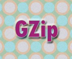 ҳGZIPѹ⹤