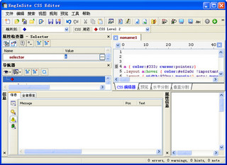 EngInSite CS