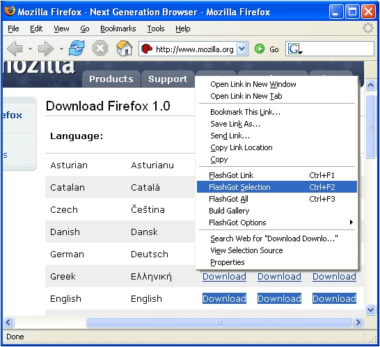 flashgot for Firefox 1.5.5.6 